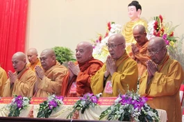Ưu tư về giáo dục Tăng Ni và hướng dẫn Phật tử